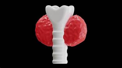 Thyroid  Management 